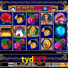 tydbet Rio de Janeiro - Professional Dealers